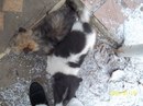 Іннуся Когут фотография #43 (источник - https://vk.com/id134986289)