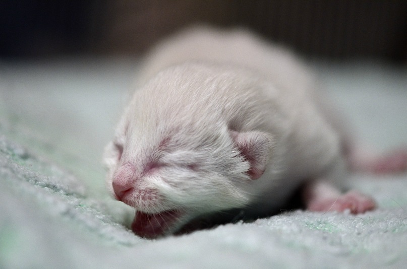 Эльдар Семенеев фотография #19