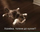 Фотография Пикулик Натальи