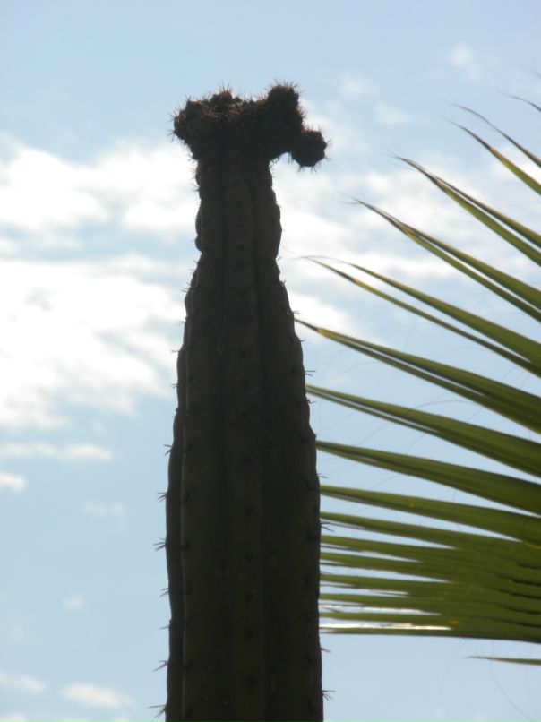 Надежда Баканова фотография #18