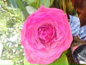 Фотография Васильевой Светланы