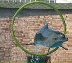 Фотография Бенгерт Анастасии