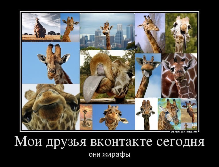 Владимир Бортников фотография #6