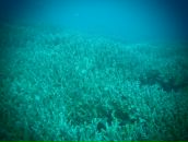 Евгений Мурышкин фотография #34 (источник - https://vk.com/id107583)