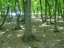 Валєра-Емма Щербець фотография #24 (источник - https://vk.com/id163478051)