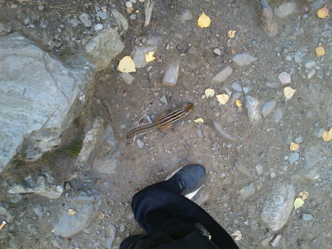 Дмитрий Неруш фотография #22