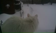 Алексей Папков фотография #6 (источник - https://vk.com/id3376131)