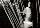 Фотография Scherzinger Nicole