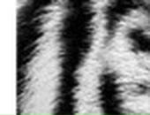 Ігор Седлер фотография #27 (источник - https://vk.com/id24938333)