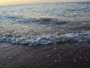 Фотография Дмитриевой Елены