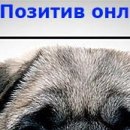 Вєталь Серйозний фотография #26 (источник - https://vk.com/id136859700)