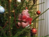 Фотография Фроловой Анны