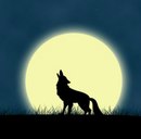 Андрій Рудан фотография #13 (источник - https://vk.com/id169666295)