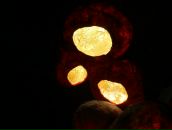 Фотография Lamp Snug