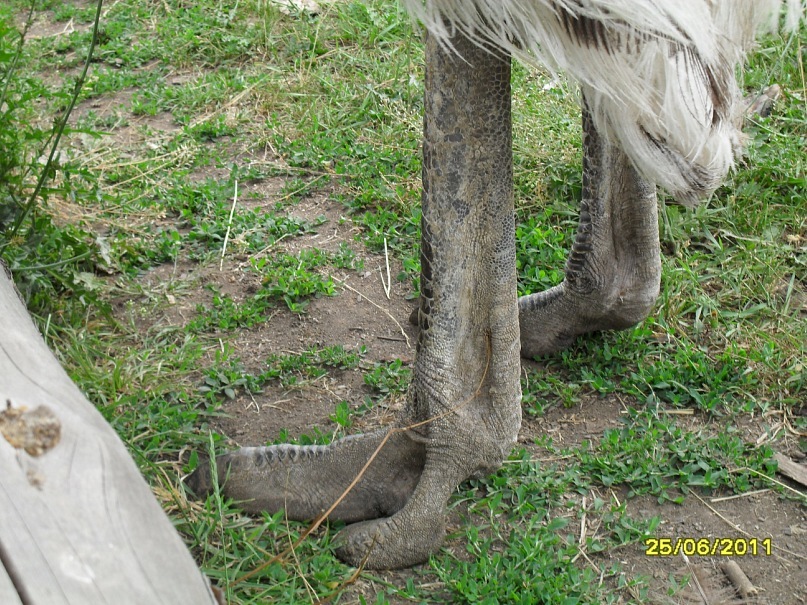 Андрей Поляков фотография #38