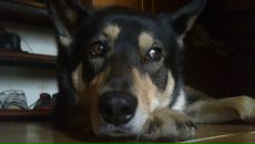 Фотография Рязановой Анны