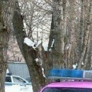Іван Великий фотография #23 (источник - https://vk.com/id147175233)