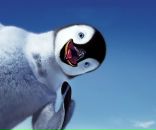 Фотография Левандовской Олеси