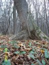 Антон Долінський фотография #46 (источник - https://vk.com/id11724603)