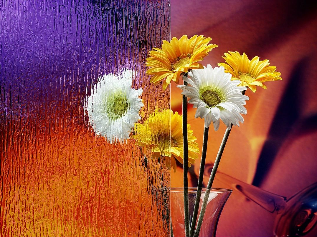 Ольга Чередниченко фотография #48