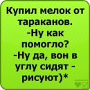 Софія Касумова фотография #12 (источник - https://vk.com/id79427577)