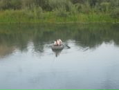 Рустем Лутфуллин фотография #23 (источник - https://vk.com/id8515565)