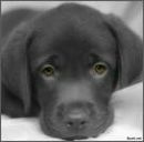 Андрій Сочка фотография #3 (источник - https://vk.com/id121361297)