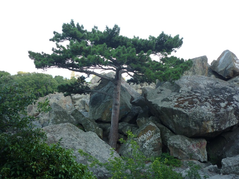 Артем Гусев фотография #47