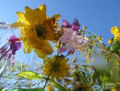 Фотография Микрюковой Натальи