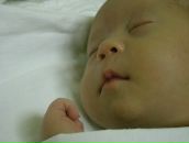 Фотография Лис Юлии