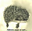 Фотография Вереска Андрюхи