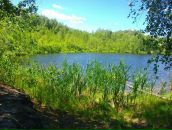 Евгений Евсеев фотография #14 (источник - https://vk.com/id1179546)