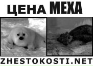 Nika Luganova фотография #36 (источник - https://vk.com/id2933334)