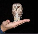 Фотография Тюрина Михаила