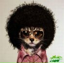 Фотография Бородина Мишани