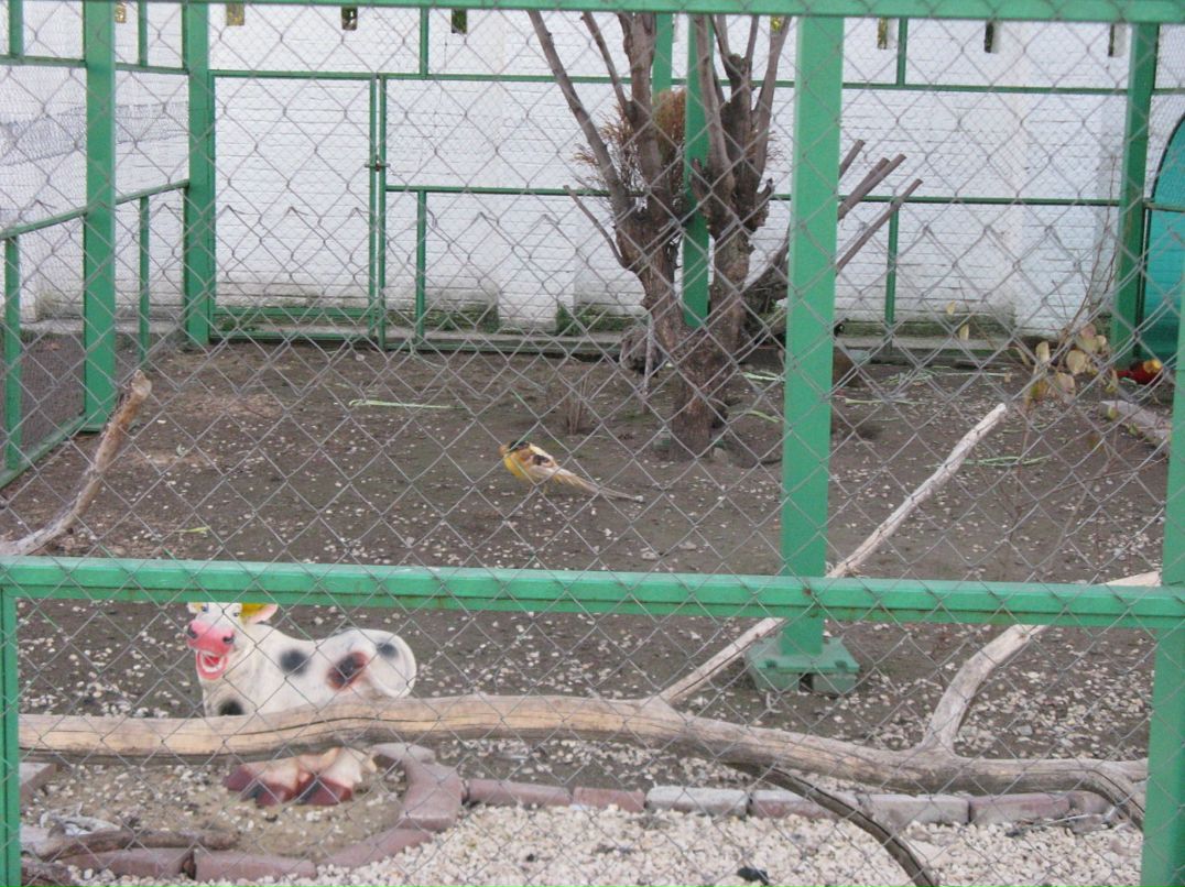 Мария Бильчук фотография #41