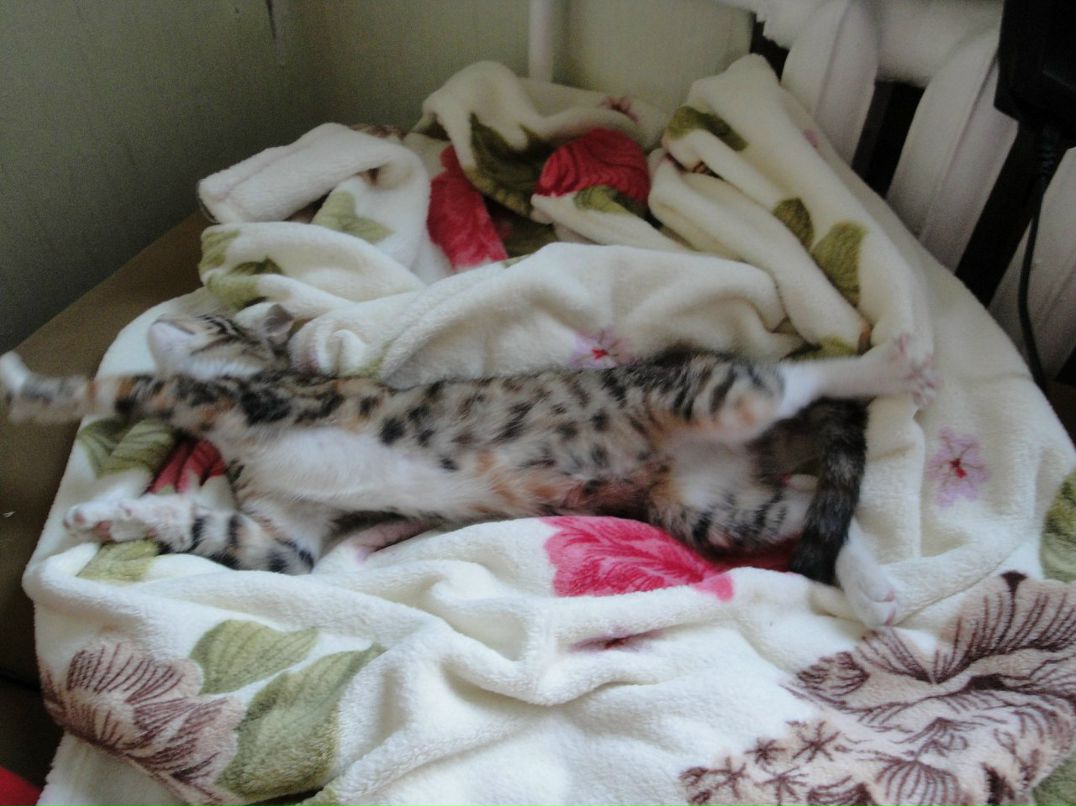 Полина Fullmoon фотография #16