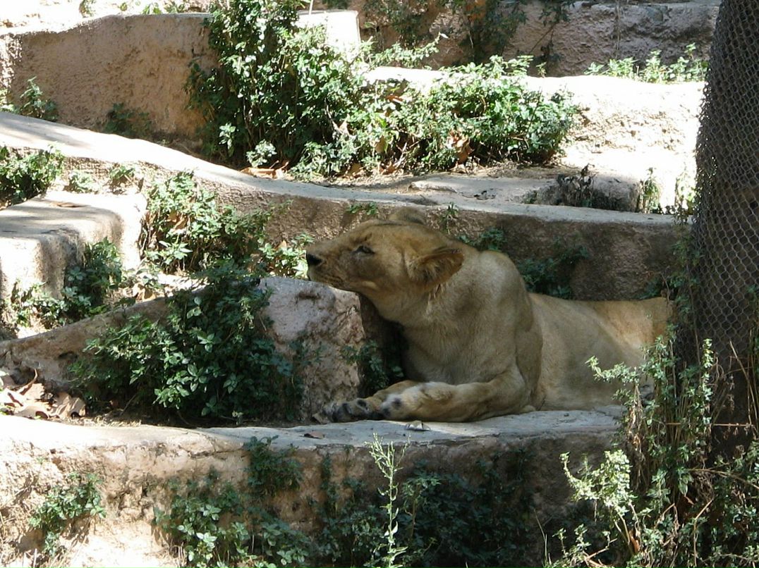 Dmitry Joy фотография #13