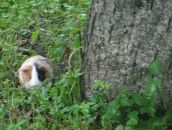 Свєтік Бат фотография #23 (источник - https://vk.com/id88536198)