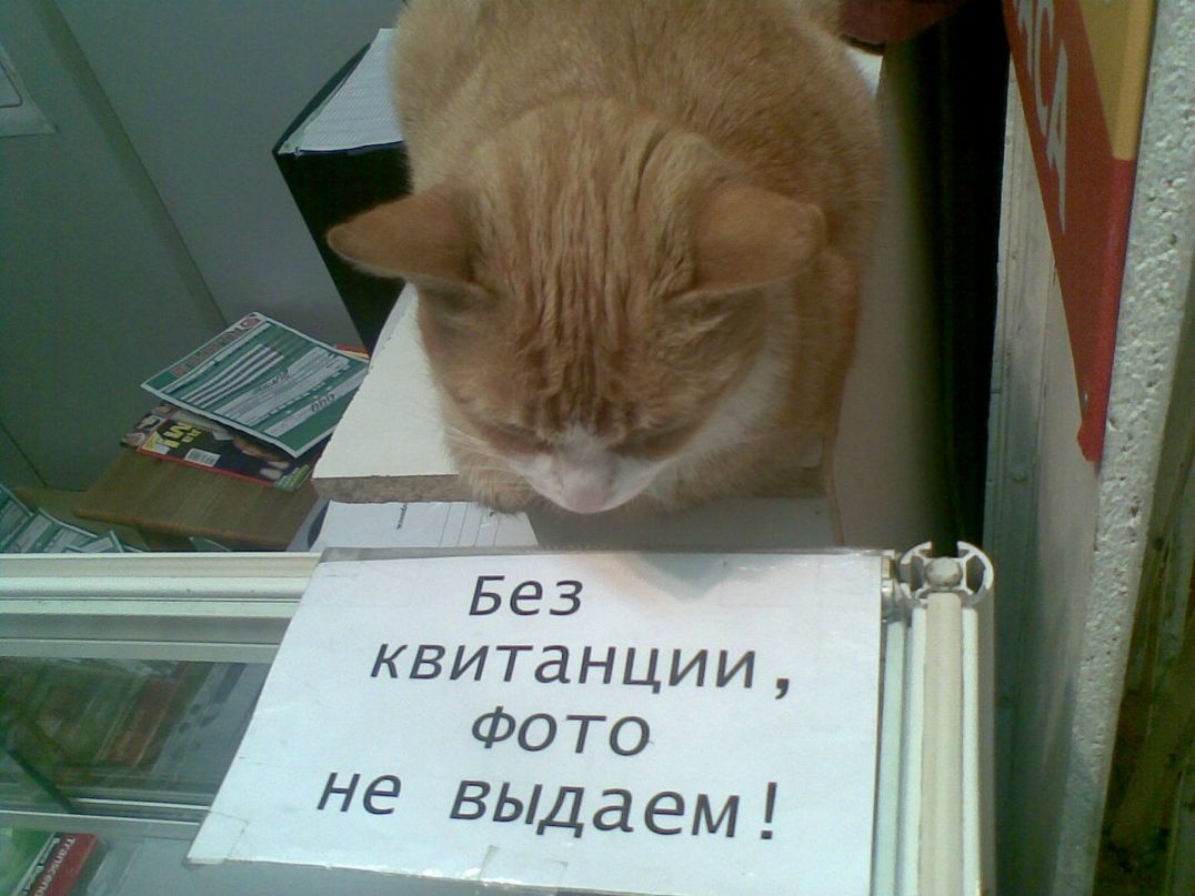 Сергей Титов фотография #39