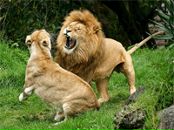 Фотография Щекина Ильи