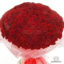 Фотография Шадриной Виктории