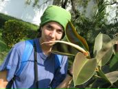 Фотография Гавриловой Юлии