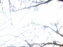 Іриска Шаповал фотография #48 (источник - https://vk.com/id41561933)