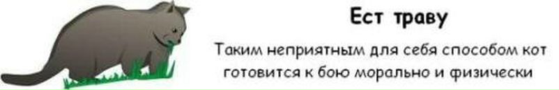 Алекс Сам фотография #43 (источник - https://vk.com/id1064225)