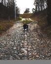 Фотография Мухина Романа
