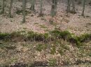 Ванєчка Келемен фотография #32 (источник - https://vk.com/id152020521)