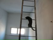 Фотография Пушкарский Виталий