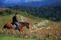 Дмитрий Серов фотография #22 (источник - https://vk.com/id41924820)