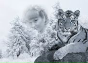 Фотография Бакулиной Юли